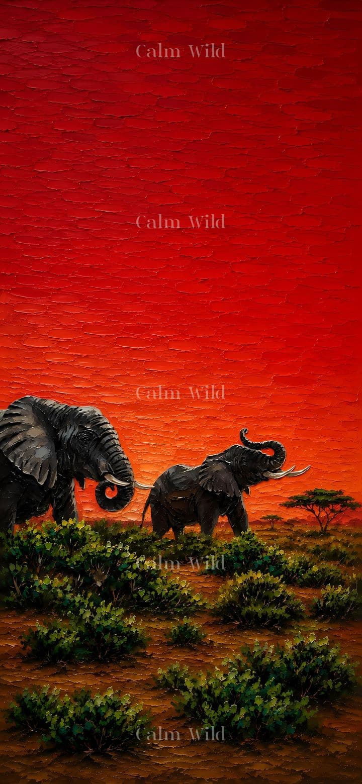 Elephants
