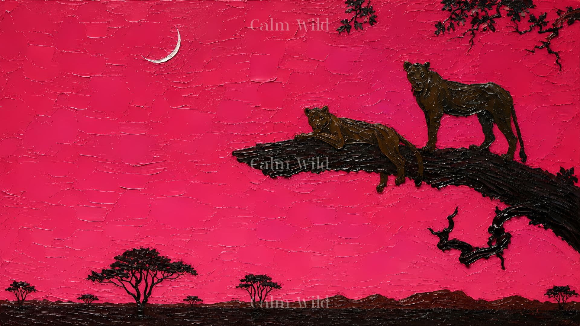 Calm Wild